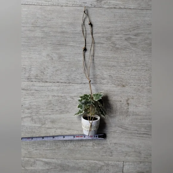 Tiny Macrame Car Plant - Picture 4 of 4